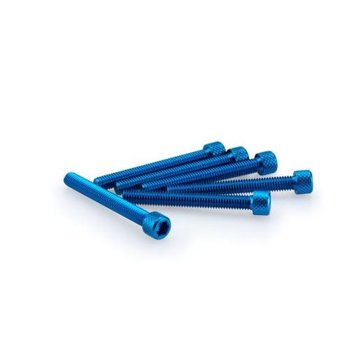 SKRŪVES PUIG ANODIZED 0421A ZILS M6 X 50MM (6PCS)