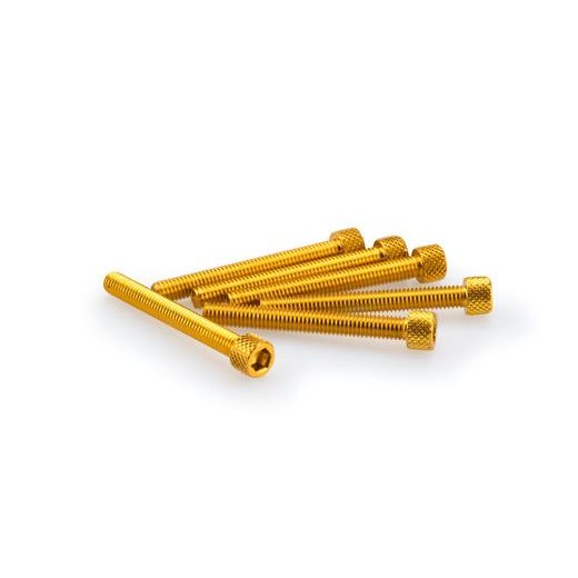 SKRŪVES PUIG ANODIZED 0421G DZELTENS M6 X 50MM (6PCS)