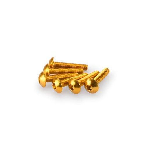 SKRŪVES PUIG ANODIZED 0610G DZELTENS M5 X 25MM (6PCS)