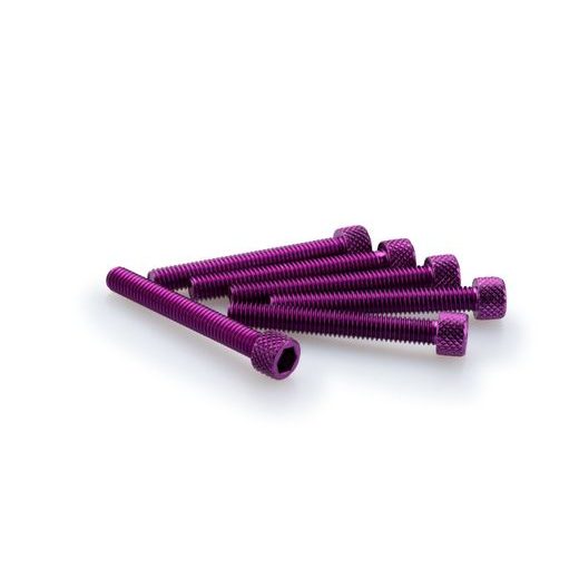 SKRŪVES PUIG ANODIZED 0370L VIOLETS M6 X 45MM (6PCS)