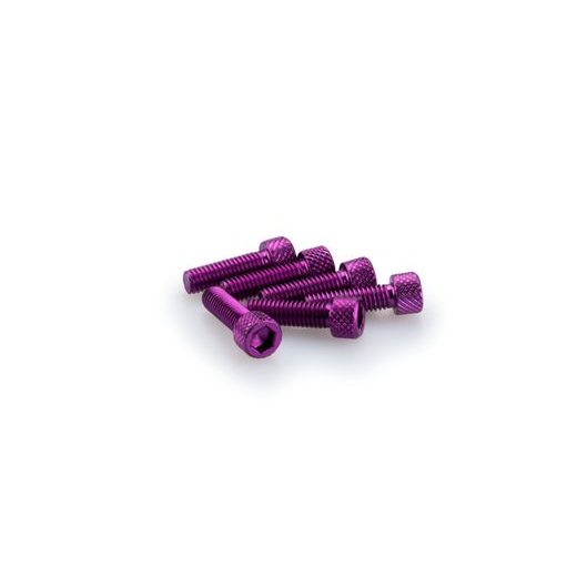SKRŪVES PUIG ANODIZED 0364L VIOLETS M6 X 20MM (6PCS)