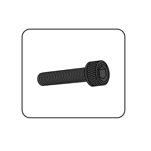 SKRŪVES PUIG ANODIZED 0346A ZILS M6 X 35MM (6PCS)