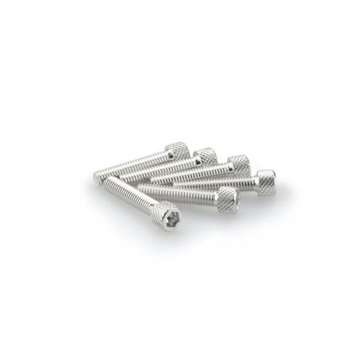 SKRŪVES PUIG ANODIZED 0258P SUDRABA M6 X 30MM (6PCS)