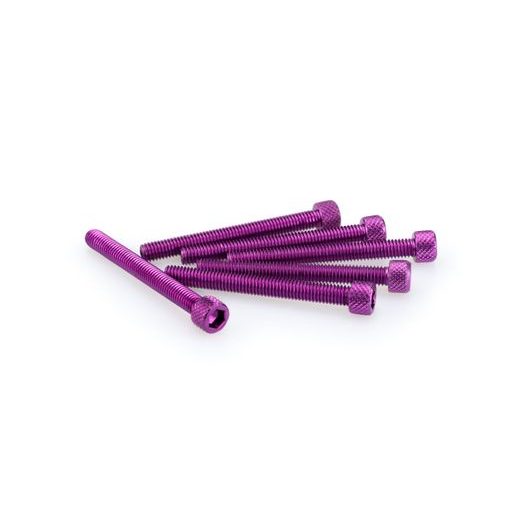 SKRŪVES PUIG ANODIZED 0446L VIOLETS M6 X 55MM (6PCS)