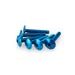 SKRŪVES PUIG ANODIZED 3995A ZILS M6 X 30MM (6PCS)