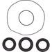 DIFFERENTIAL SEAL KIT ALL BALLS RACING DB25-2153-5