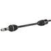 ASS ALL BALLS RACING AB6-CA-8-337 6BALL