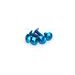 SKRŪVES PUIG ANODIZED 0611A ZILS M6 X 15MM (6PCS)