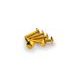 SKRŪVES PUIG ANODIZED 3995G DZELTENS M6 X 30MM (6PCS)