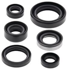 ENGINE OIL SEAL KIT WINDEROSA 822194