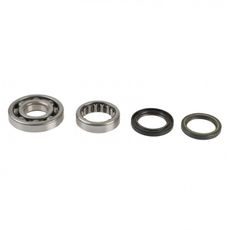 LEŽAJI IN TESNILA ZA GLAVNO GRED (CRANKSHAFT REBUILDING KIT) ATHENA P400210444095