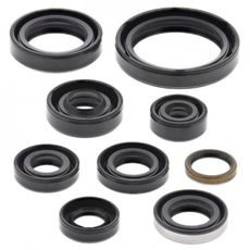 ENGINE OIL SEAL KIT WINDEROSA 822336