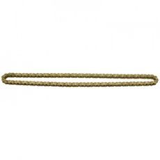 CAMSHAFT CHAIN ROLLER KIT HOT CAMS HCDID219090