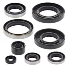 ENGINE OIL SEAL KIT WINDEROSA 822284