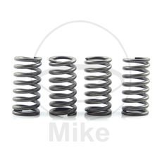 CLUTCH SPRING KIT EBC CSK195 4