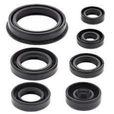 ENGINE OIL SEAL KIT WINDEROSA EOSK 822690