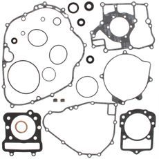 COMPLETE GASKET KIT WITH OIL SEALS WINDEROSA CGKOS 811871