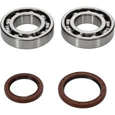 CRANKSHAFT BEARING KIT ALL BALLS RACING CB24-1123