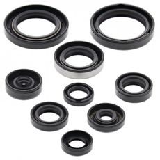 ENGINE OIL SEAL KIT WINDEROSA 822223