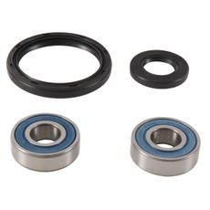 WHEEL BEARING KIT ALL BALLS RACING WB25-1745