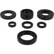 ENGINE OIL SEAL KIT WINDEROSA 822113
