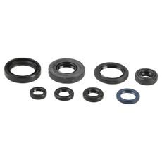 SET TESNIL MOTORJA ZA OLJE (ENGINE OIL SEALS KIT) ATHENA P400485400045
