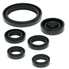 ENGINE OIL SEAL KIT WINDEROSA EOSK 822238