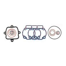 SET TESNIL MOTORJA RMS 100684031