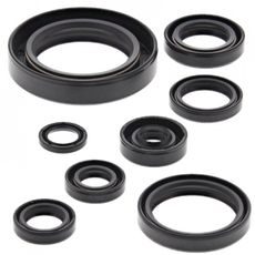 ENGINE OIL SEAL KIT WINDEROSA 822110