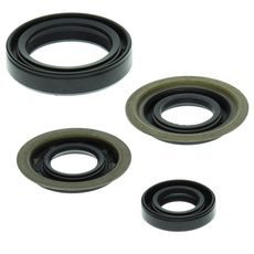 ENGINE OIL SEAL KIT WINDEROSA EOSK 822273