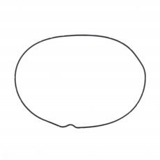 TESNILO SKLOPKE (CLUTCH COVER GASKET) ATHENA S410060008014 OUTER