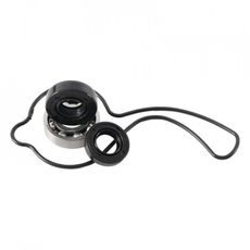 WATER PUMP KIT HOT RODS WPK0005