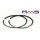 Piston ring kit RMS 100100318 38,8mm (za RMS glavo motorja - cilinder)