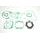 Celoten set tesnil za motor ATHENA P400210850248