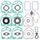 Complete gasket kit WINDEROSA 711309 with seals