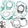 Complete Gasket Kit with Oil Seals WINDEROSA CGKOS 811858