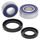 Wheel Bearing Kit All Balls Racing WB25-1559