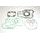 Celoten set tesnil za motor ATHENA P400250850252/1