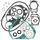 Complete Gasket Kit with Oil Seals WINDEROSA CGKOS 811932