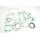 Celoten set tesnil za motor ATHENA P400210850132