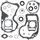 Complete Gasket Kit with Oil Seals WINDEROSA CGKOS 811832