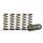 Hi-Temp Clutch Spring Kit HINSON CS215-6-001