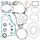 Complete Gasket Kit with Oil Seals WINDEROSA CGKOS 811587