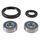 Wheel Bearing Kit All Balls Racing WB25-1746