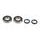 Ležaji in tesnila za glavno gred (Crankshaft rebuilding kit) ATHENA P400250444016