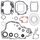 Complete Gasket Kit with Oil Seals WINDEROSA CGKOS 811662