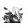 Windscreen PUIG TOURING 9212W prozorna