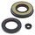 Engine Oil Seal Kit WINDEROSA EOSK 55221