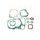 Celoten set tesnil za motor ATHENA P400510850013
