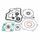 Complete Gasket Kit with Oil Seals WINDEROSA CGKOS 8110026